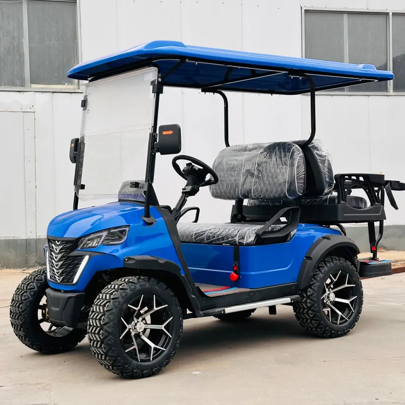 Electric Golf Cart Back View