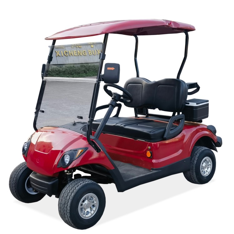 Mini Electric or Gasoline Powered 2 Seater Small Golf Buggy Cart