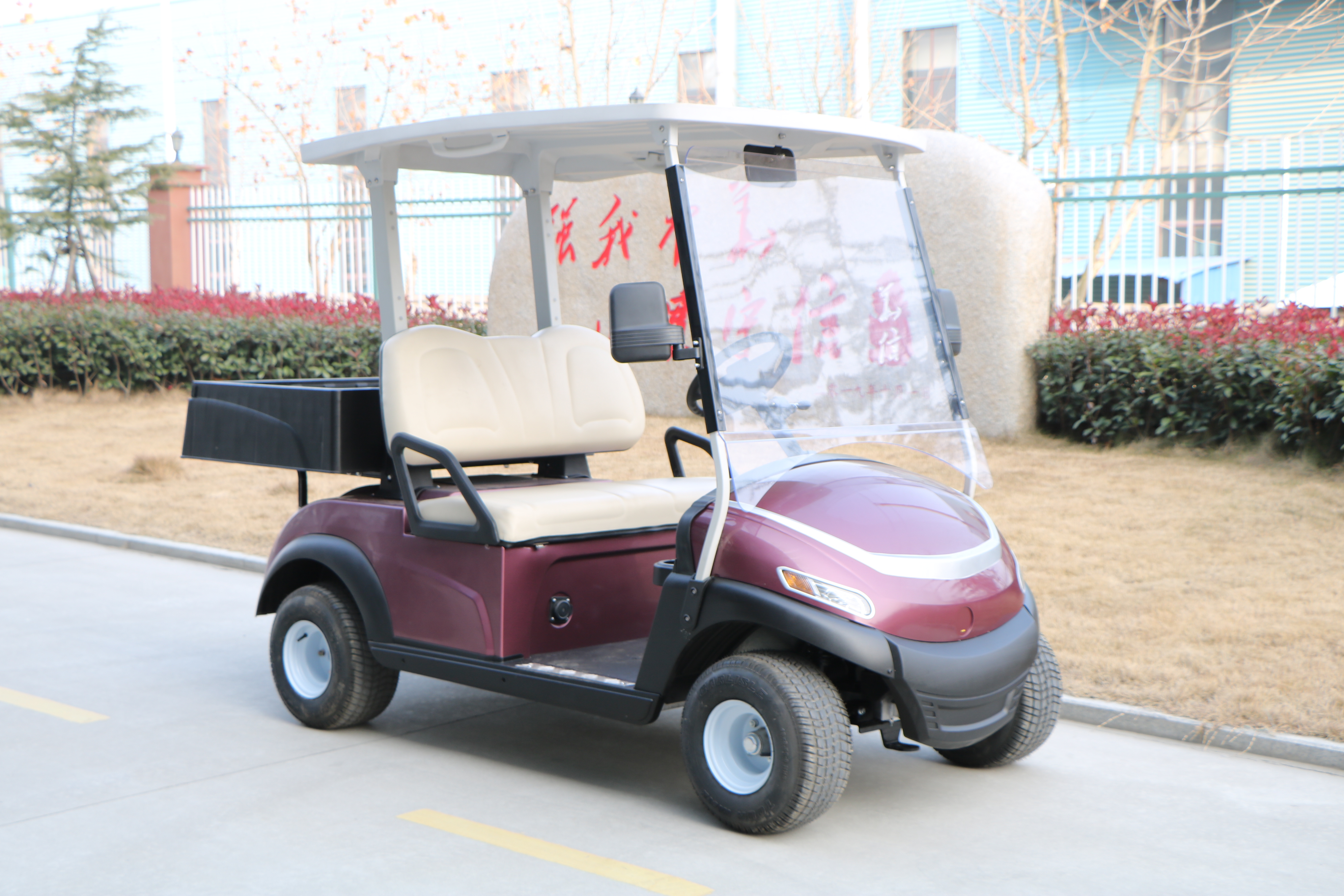 Electric Golf Cart Details 3