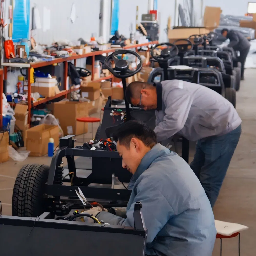 High-Performance Electric Carts with 7 5kw Motor and Custom Options