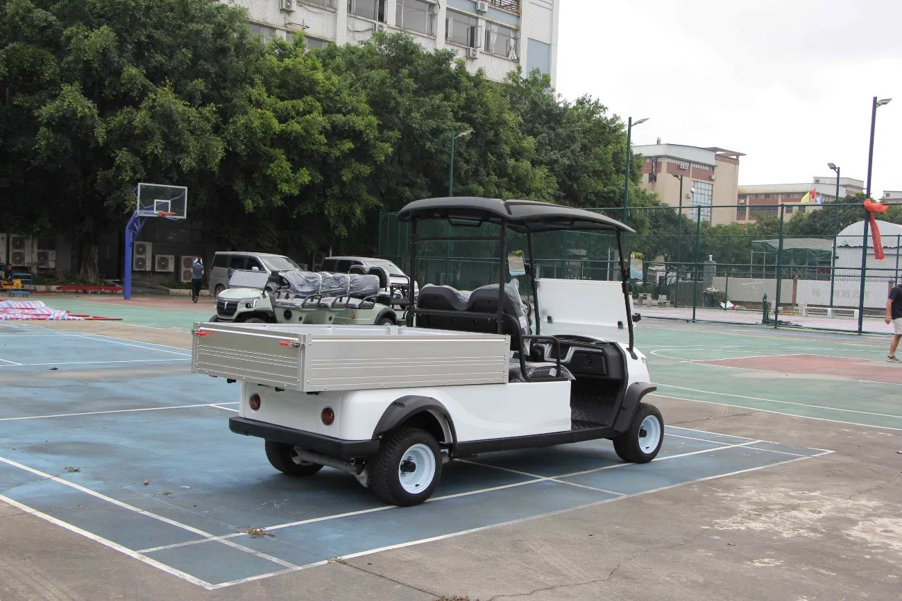 Electric Utility Cart with Fixed Cargo Box 48V Motor 2 Seater Golf Cart Mini Truck