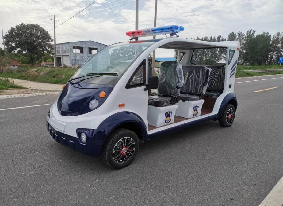Electric Golf Cart View 1