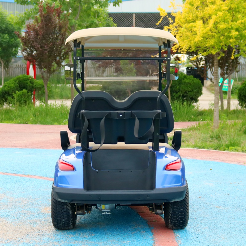 JG Mini Luxury Cheap 2 Passenger 2 Seater 2 Seats Antique Electric Classic Golf Cart for Wedding Resort Hotel Golf Cart Truck