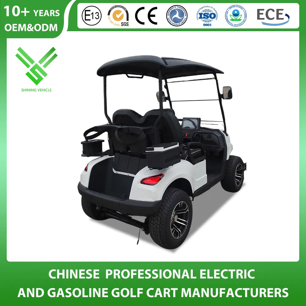 Shininglsv 2 Seat 48V Lead Acid Compact Entry Model Vehicle Golf Cart