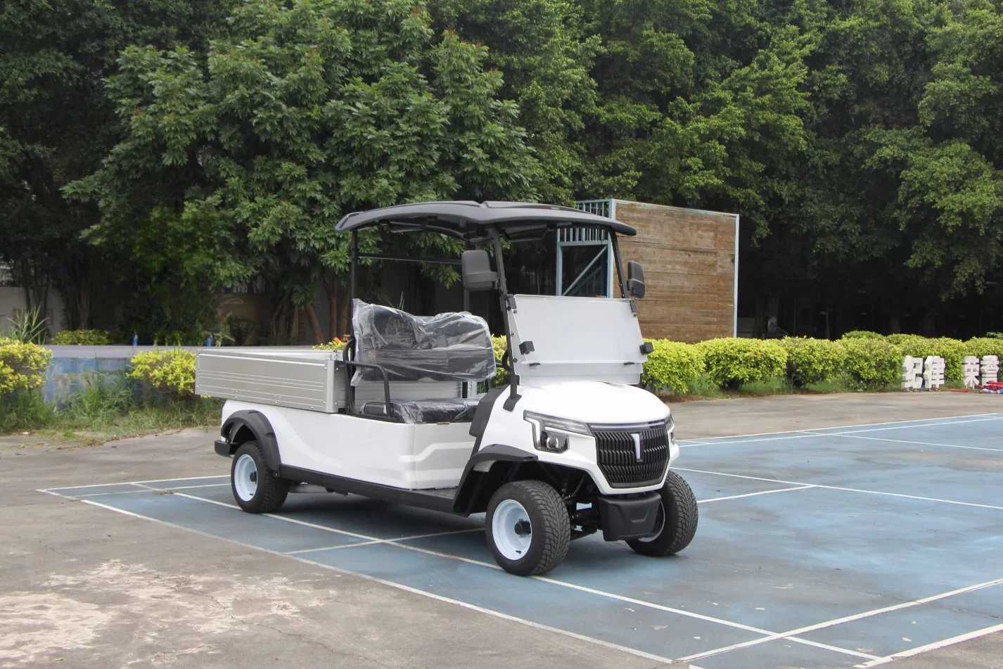 Electric Utility Cart with Fixed Cargo Box 48V Motor 2 Seater Golf Cart Mini Truck
