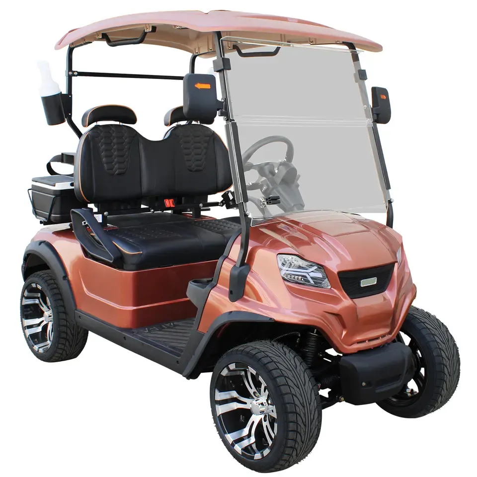 Chinese Wholesale Golf Cart 2 Seats Mini Golf Cars Electric Golf Cart With Lithium Battery