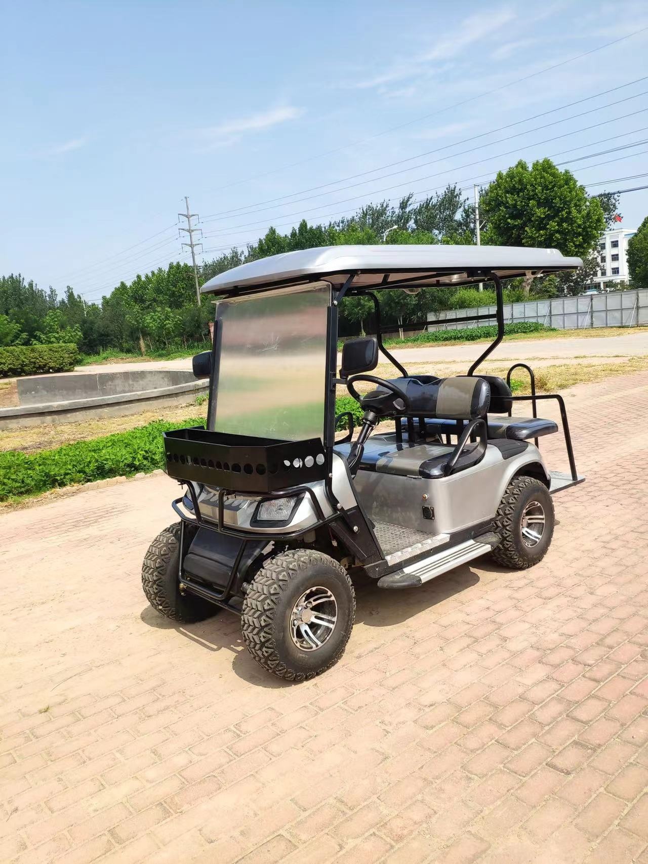Stock off Road Price Electric Vintage Golf Car Mini GOLF CARTS 2 Seater Two Seat for Sale