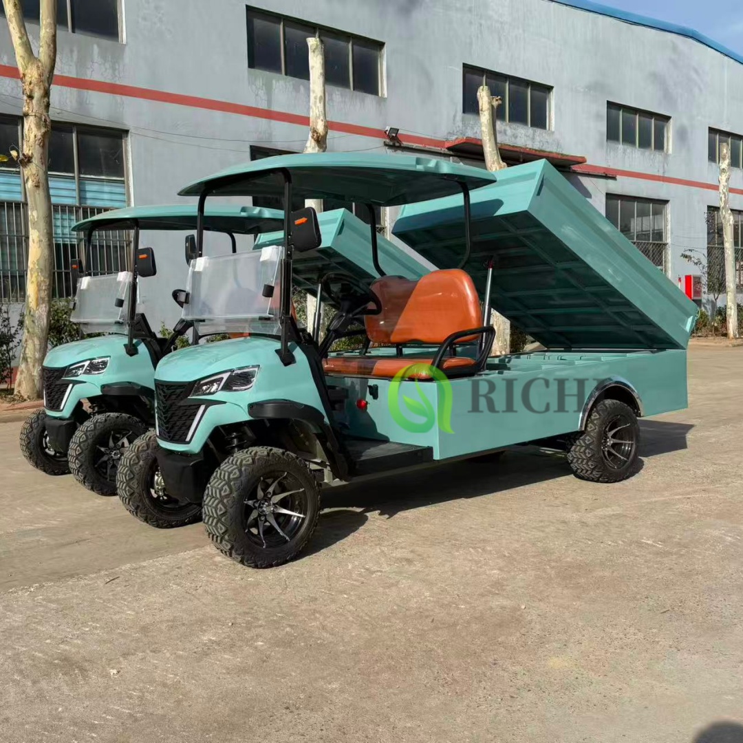 Heavy Duty Electric Golf Cart with Dump Bed 2 Seat Utility Vehicle Golf Cart Tires for Farm and Construction Work