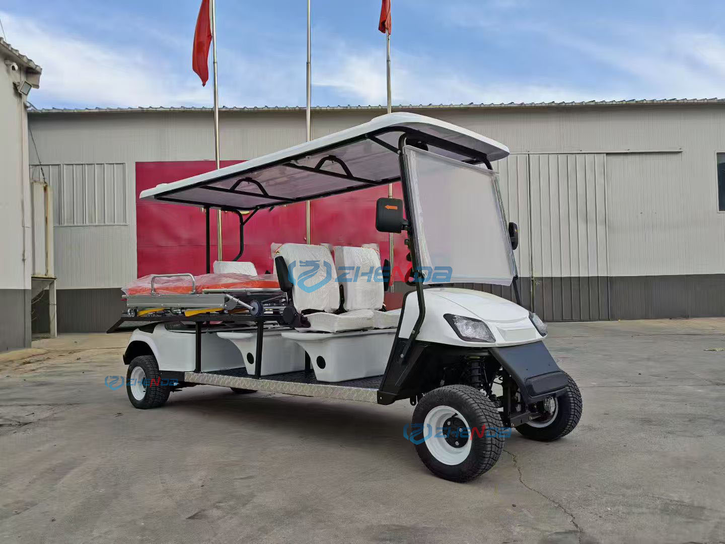 Electric Car Front View