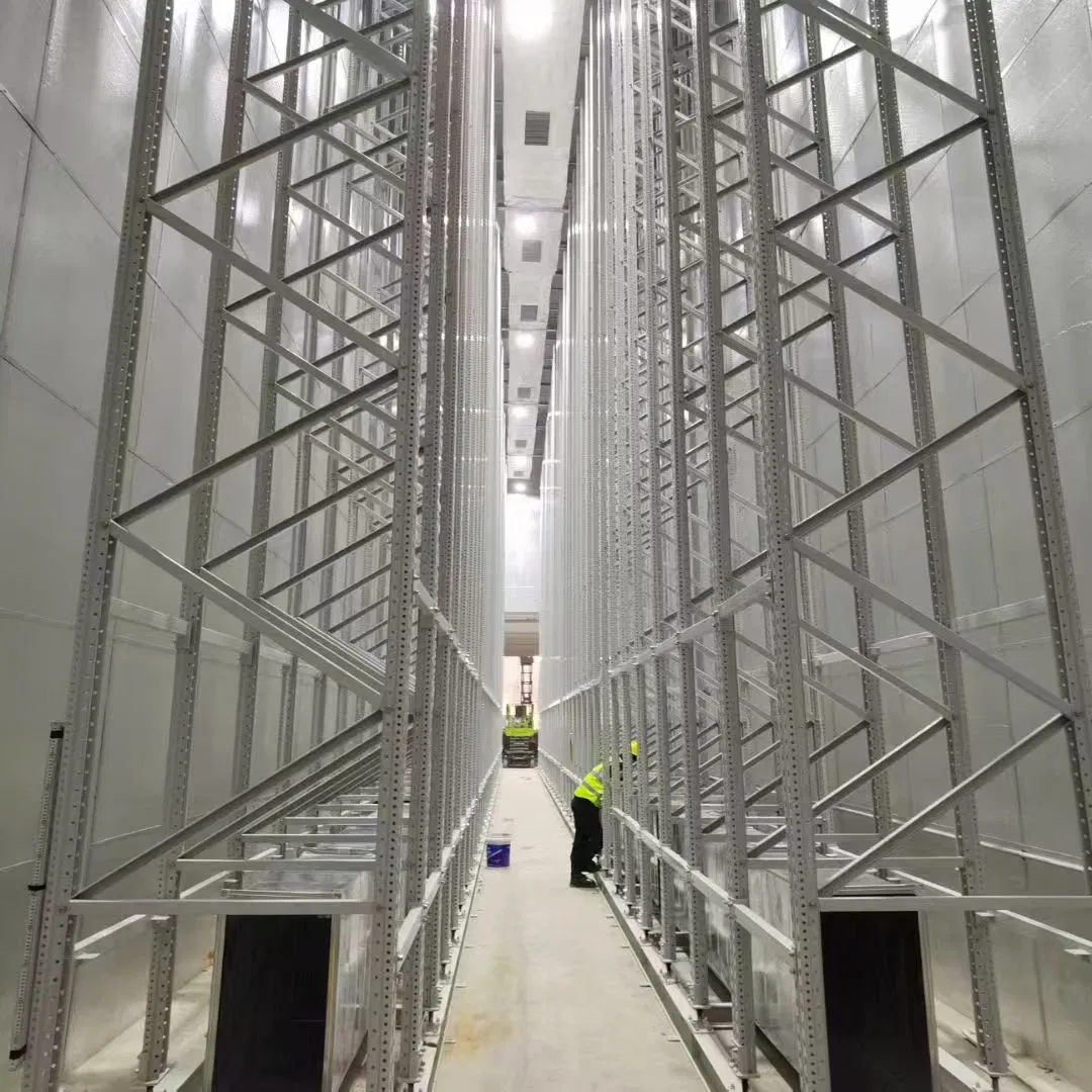 Advanced Modular as/RS System for Efficient Storage Solutions