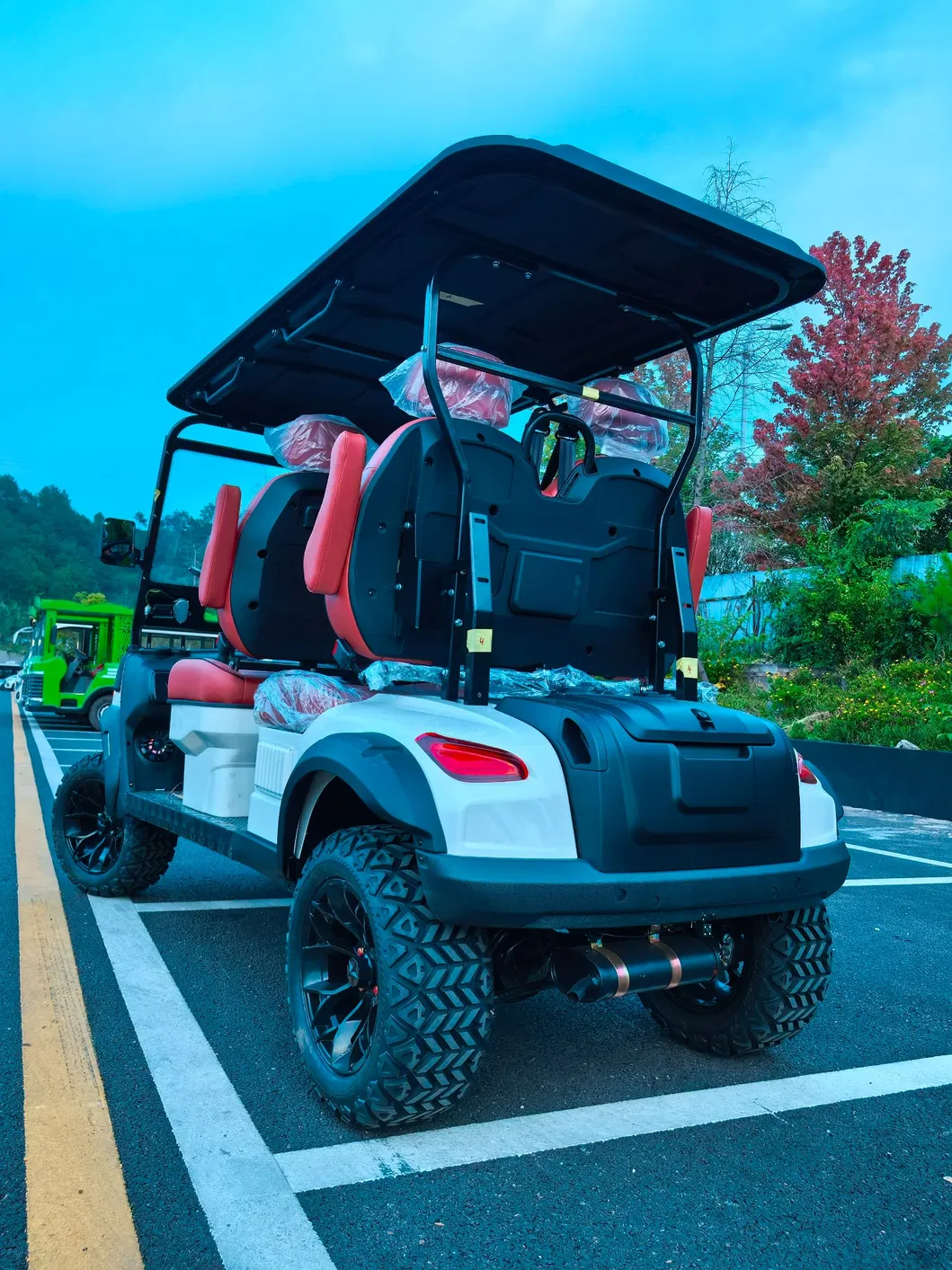 Stylish 400cc Golf Cart Perfect for Golf Courses and Resorts