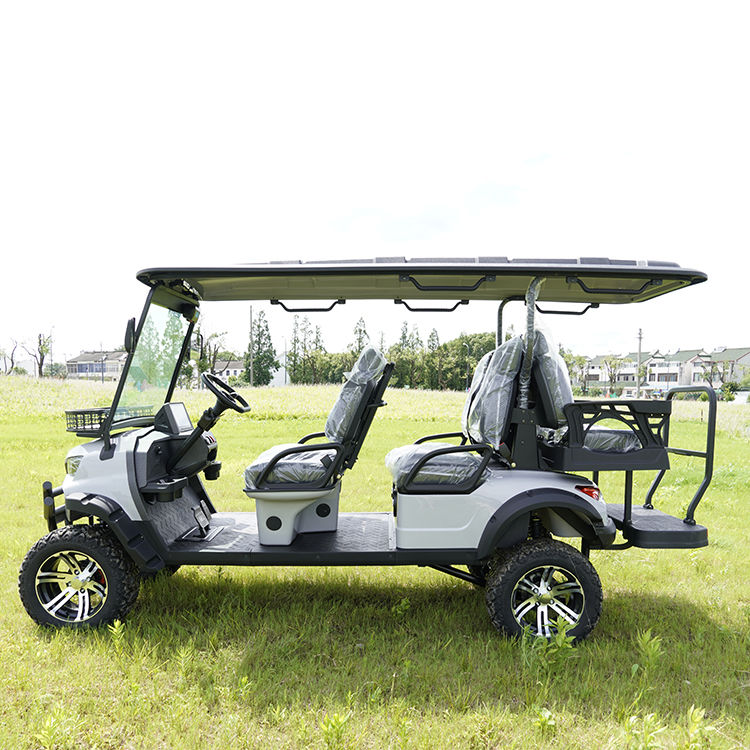 Electric Golf Cart Profile