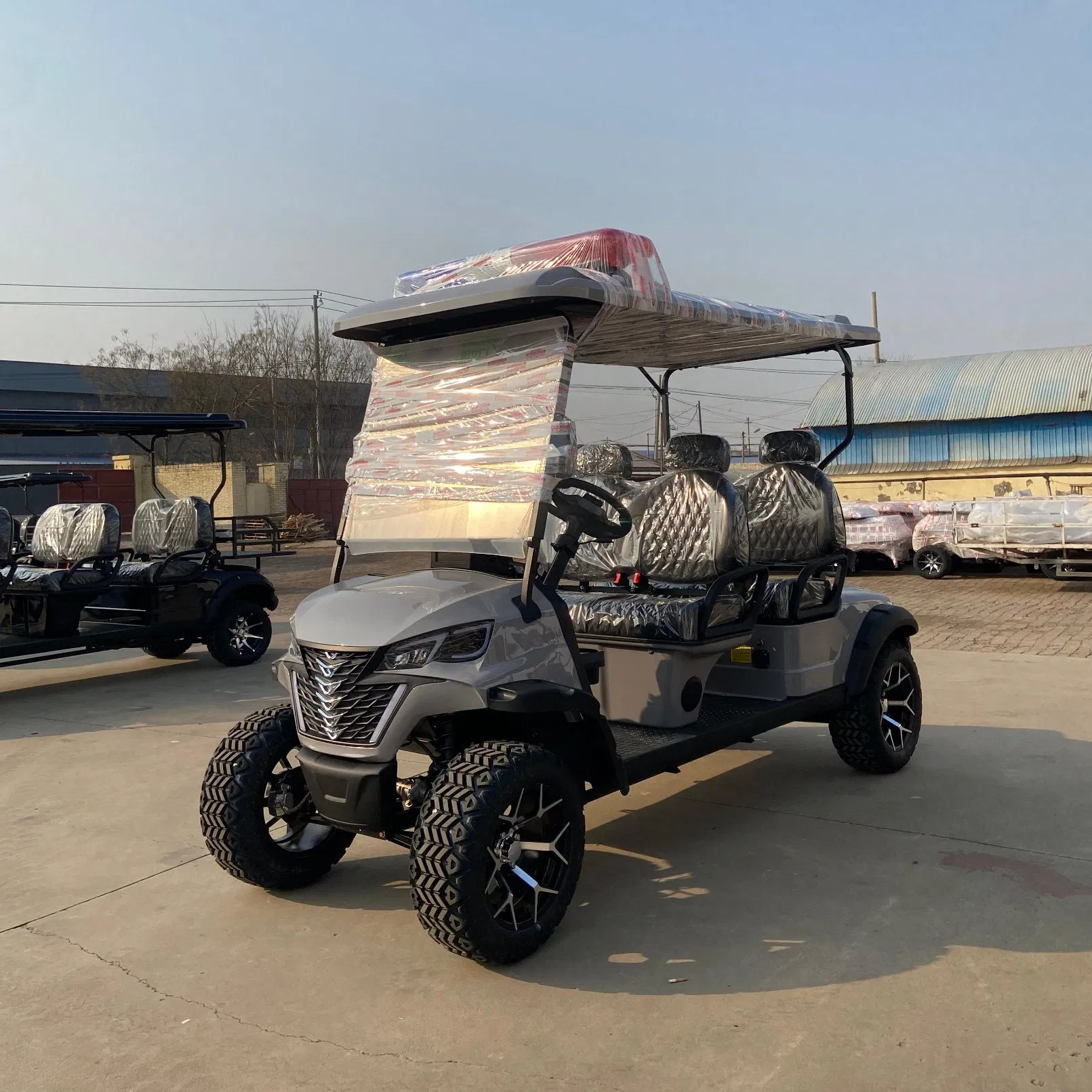 off-Road Golf Cart with Suspension for Comfort