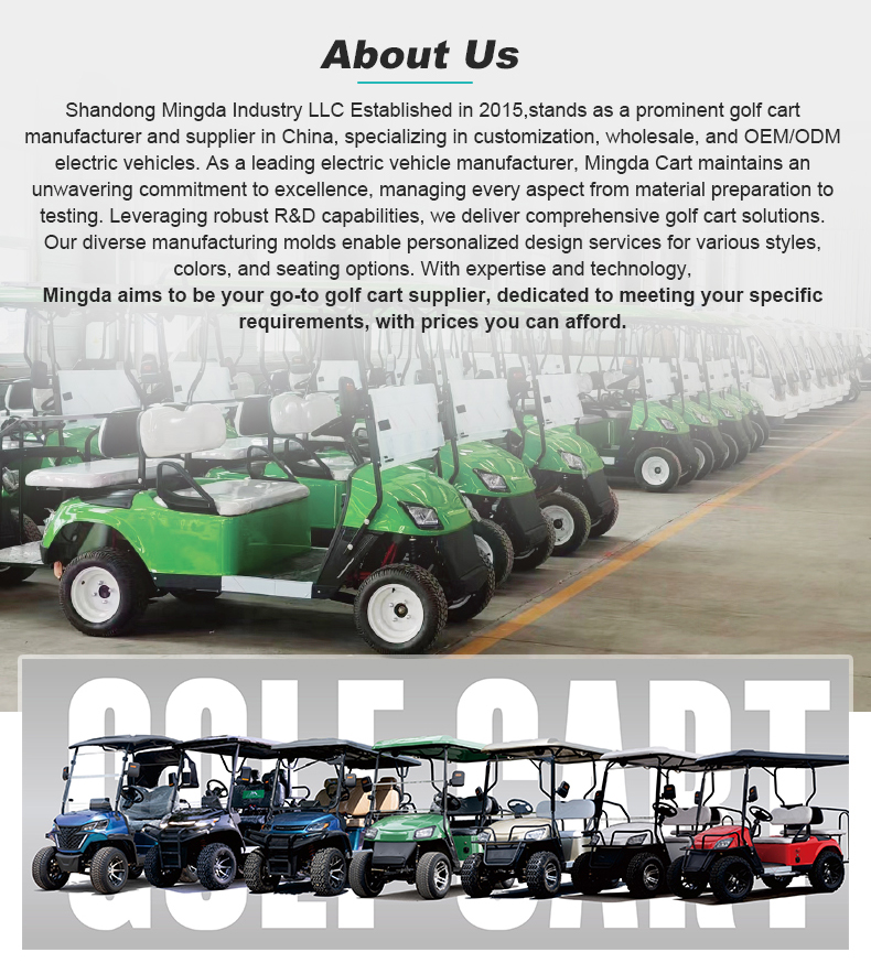 Golf Cart Option 6