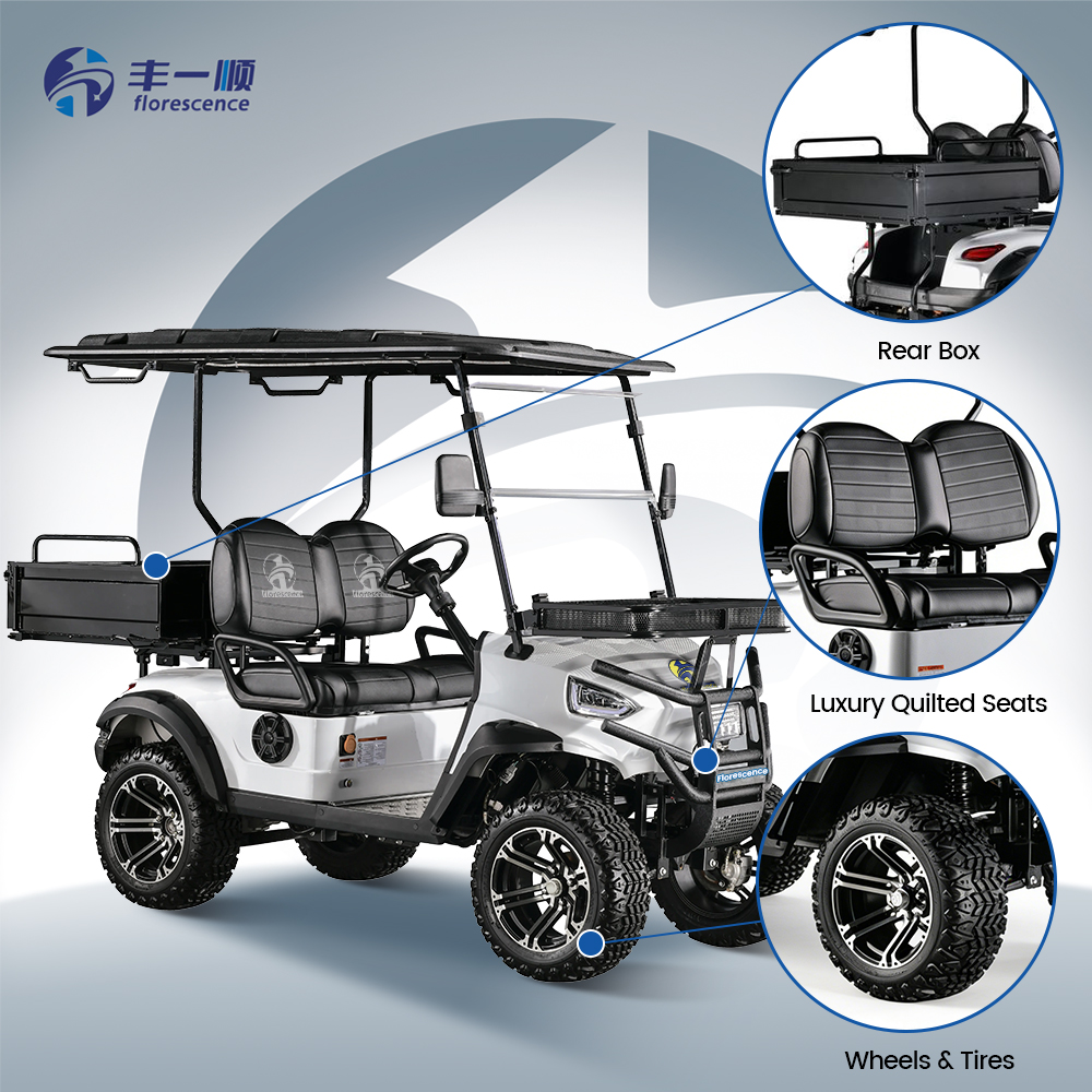 2 Seater Electric Golf Cart With Powerful Motor for Steep Hills and Heavy Loads at Parks Tourist Attractions and Airports