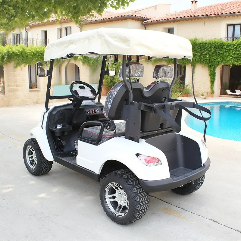 Electric Golf Cart Details 2