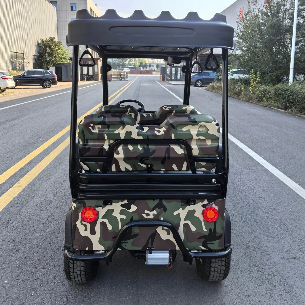Wholesale Adult Electric Golf Cart with High-Speed Performance Features
