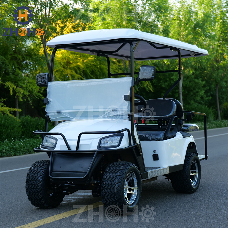 Golf Cart Custom Feature 10