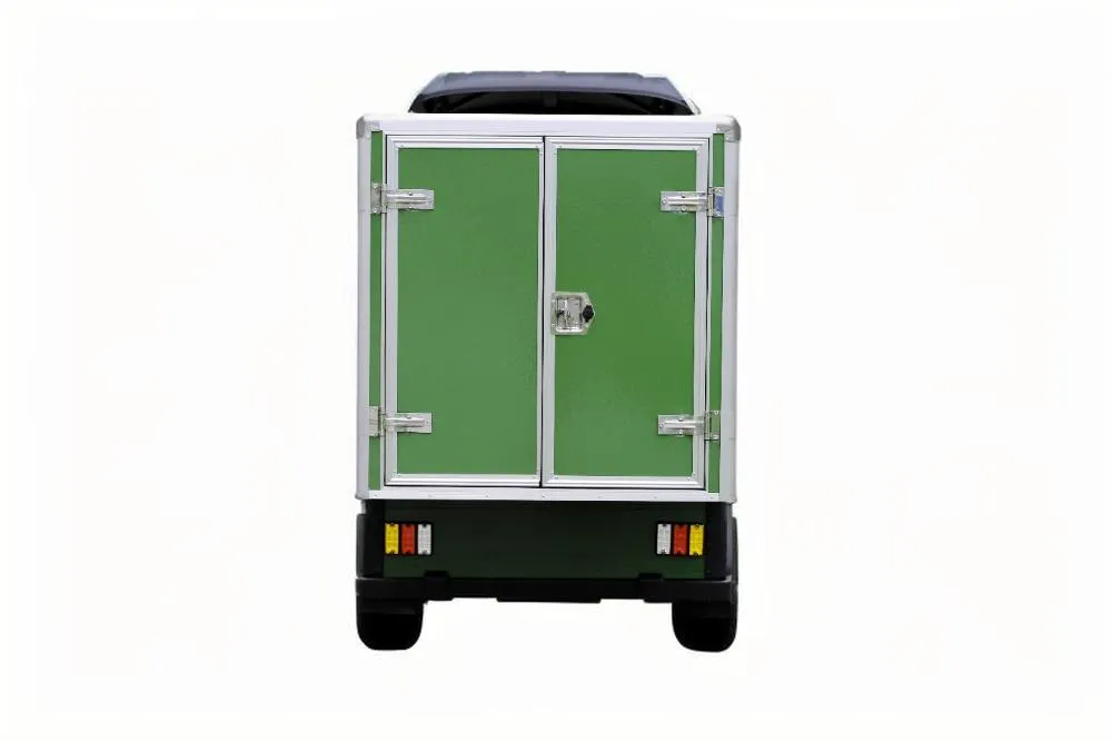 2 Person Rear Cargo Box Utility Electric Golf Carts