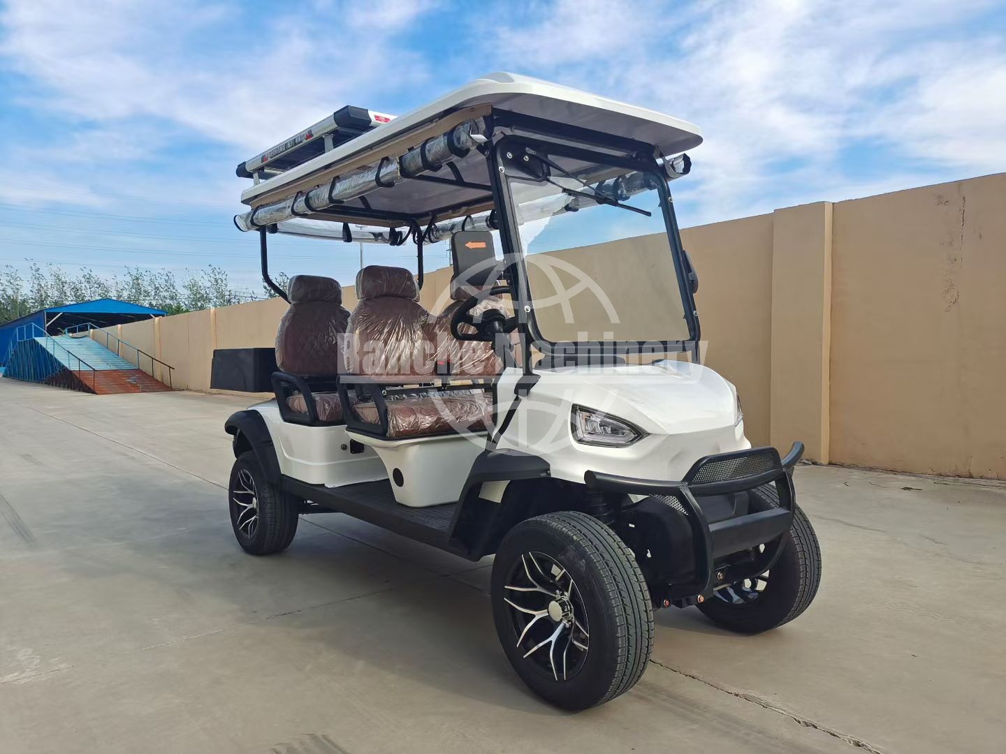 Golf Cart Interior Detail 3