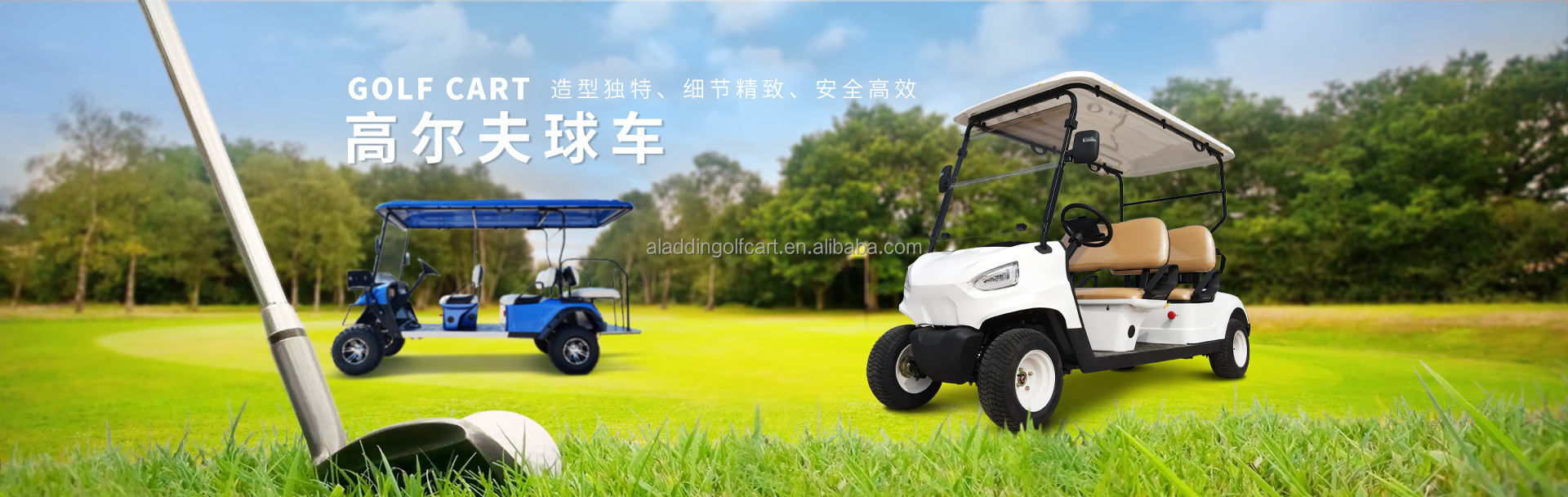 Golf Cart Overview