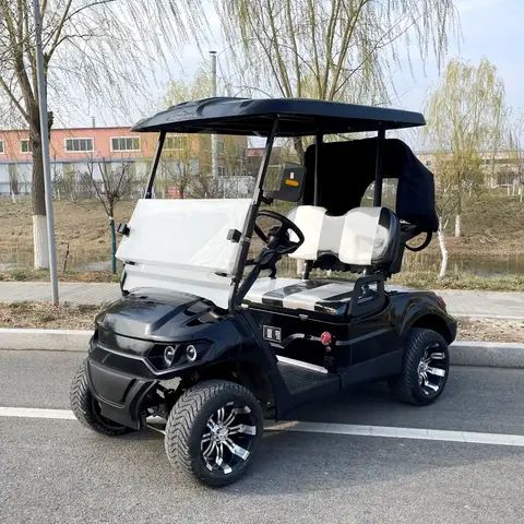 Luxury 4 6 8 Seater Electric Golf Cart Street Legal LSV CE Approved For Large Resort Shuttle Tourist Guest Transfer Vehicle