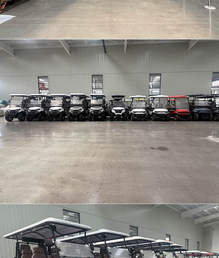 Luxury Electric 6seats Offroad Golf Cart Certified by CE DOT