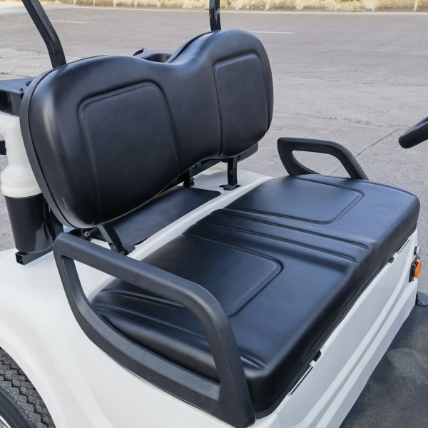 Mini Electric or Gasoline Powered 2 Seater Small Golf Buggy Cart