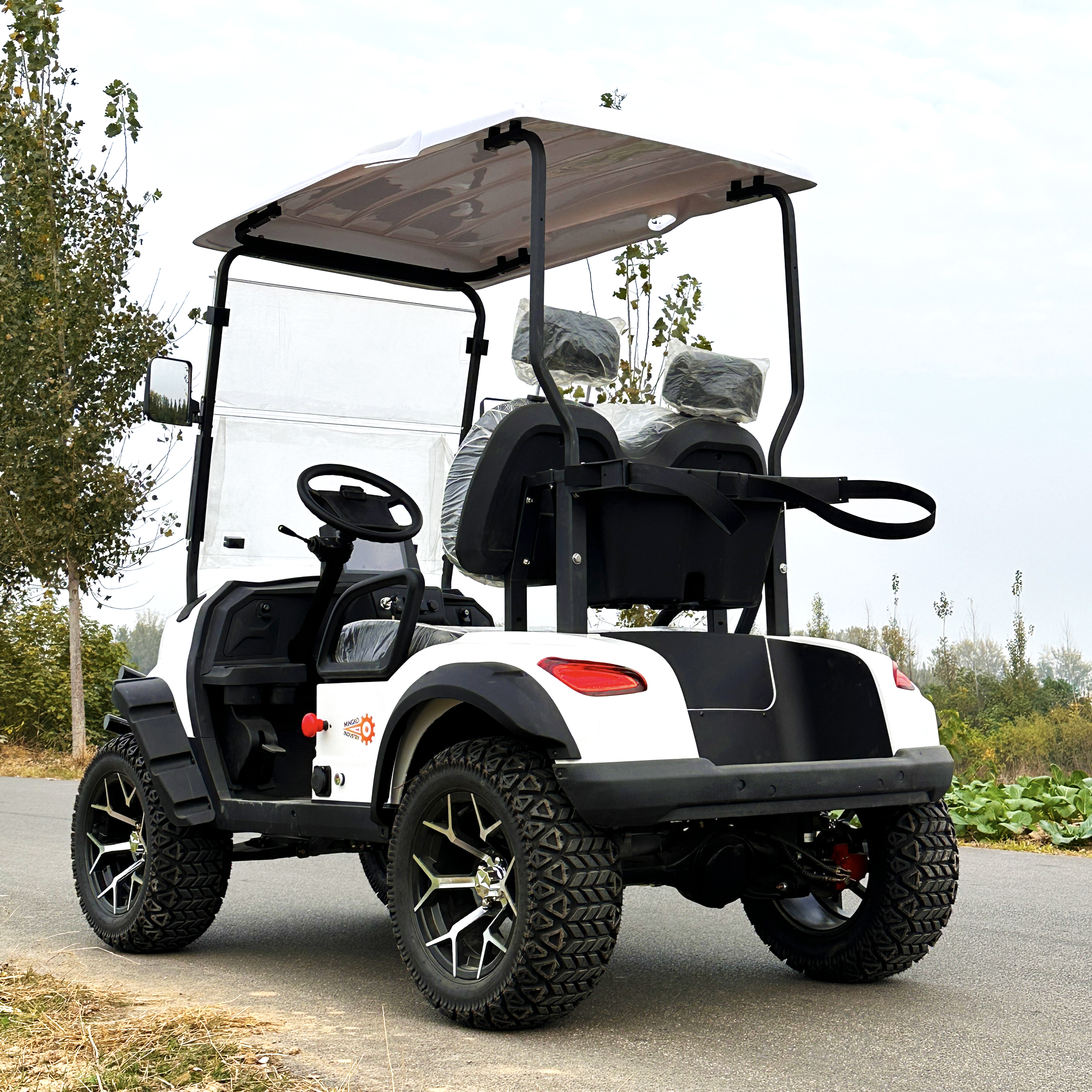 Two-seater Compact Electric Golf Cart CE/GCC Certified 50-70km/h Speed 90km Range 100kg Lightweight Factory Direct Sales