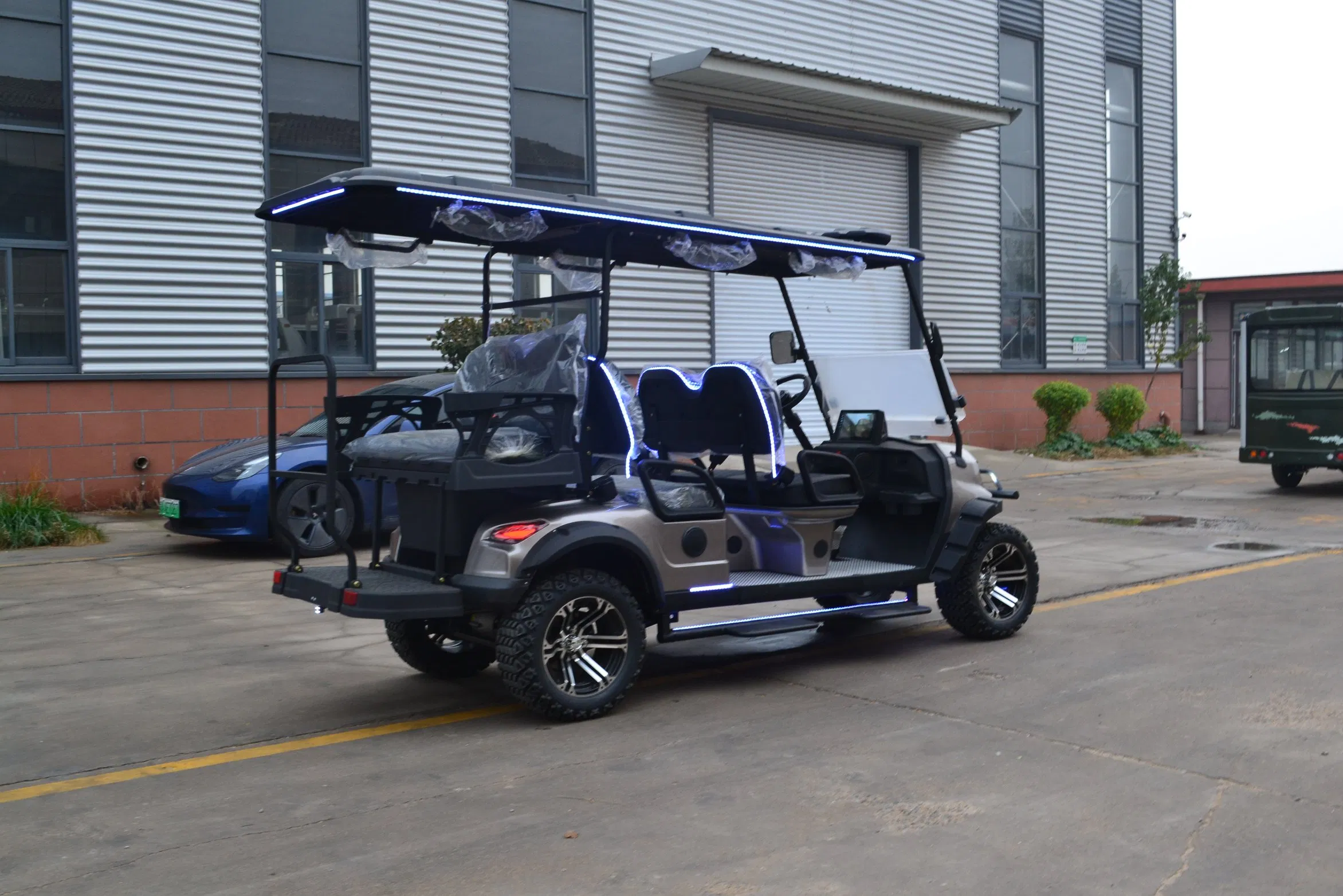 6-Seat Electric Golf Cart with Independent Suspension for Superior Ride Comfort with 4-Wheel Independent Suspension