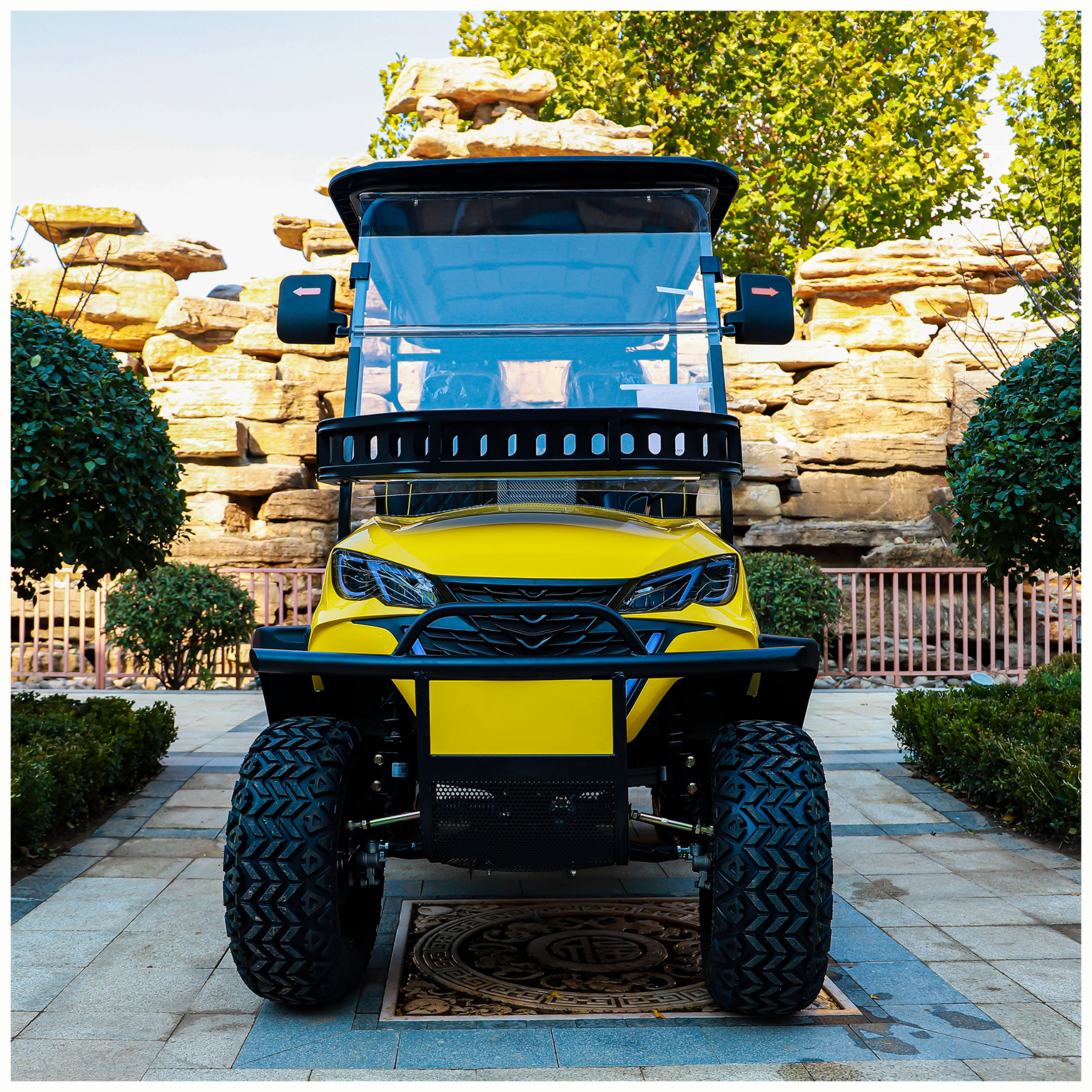 Luxury 2 4 6 Seater Lithium Golf Push Cart Electric Golf Cart