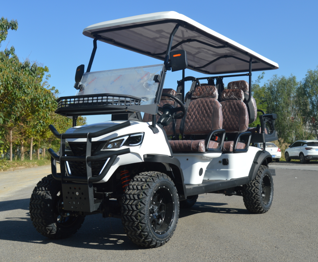 TONGCAI GPS Tracking &amp; Fleet Management 6-Seat Golf Cart for Sale