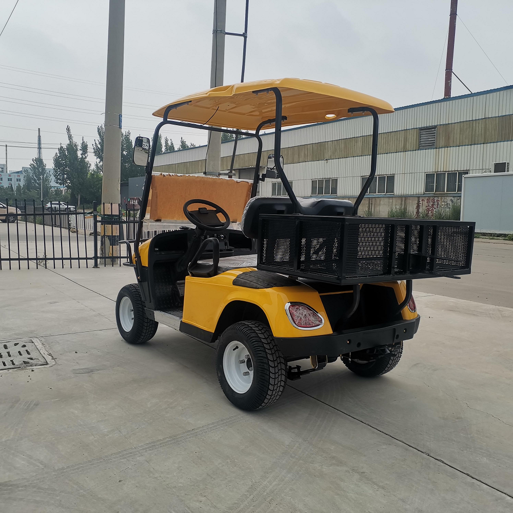 High Quality 2 Seater Electric Golf Cart with Battery Voltage Meter for Family Resort Commercial Fleet Use