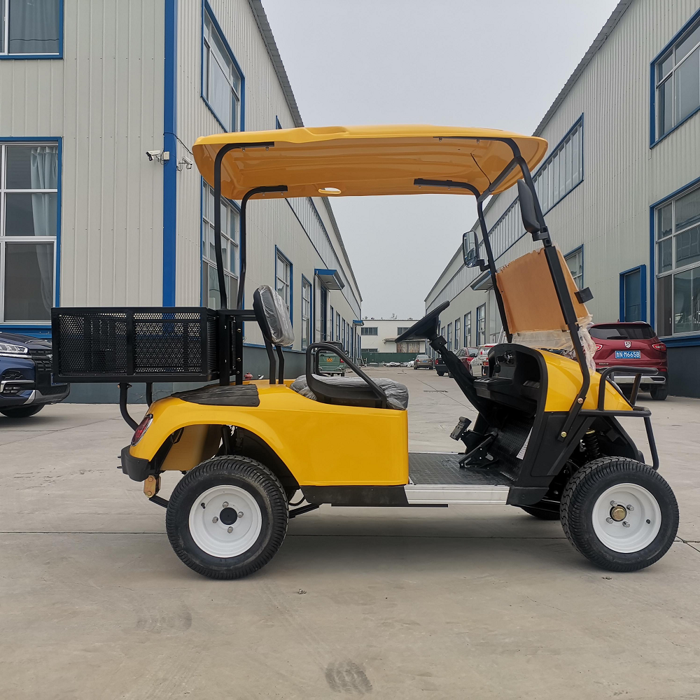 High Quality 2 Seater Electric Golf Cart with Battery Voltage Meter for Family Resort Commercial Fleet Use