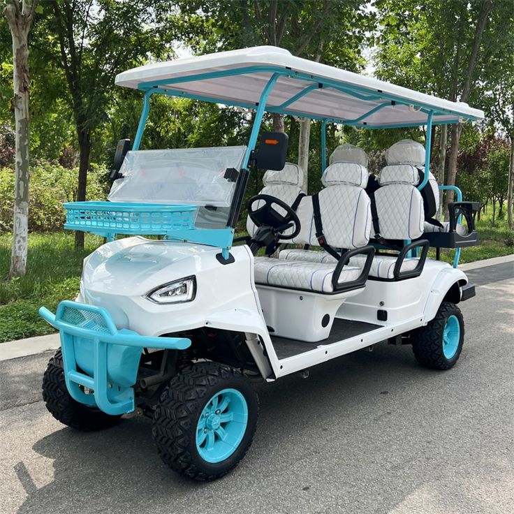 Electric Golf Cart 2-seater High Quality CE Certified 48V/60V/72V Battery Mini Sightseeing Car with 90km Range