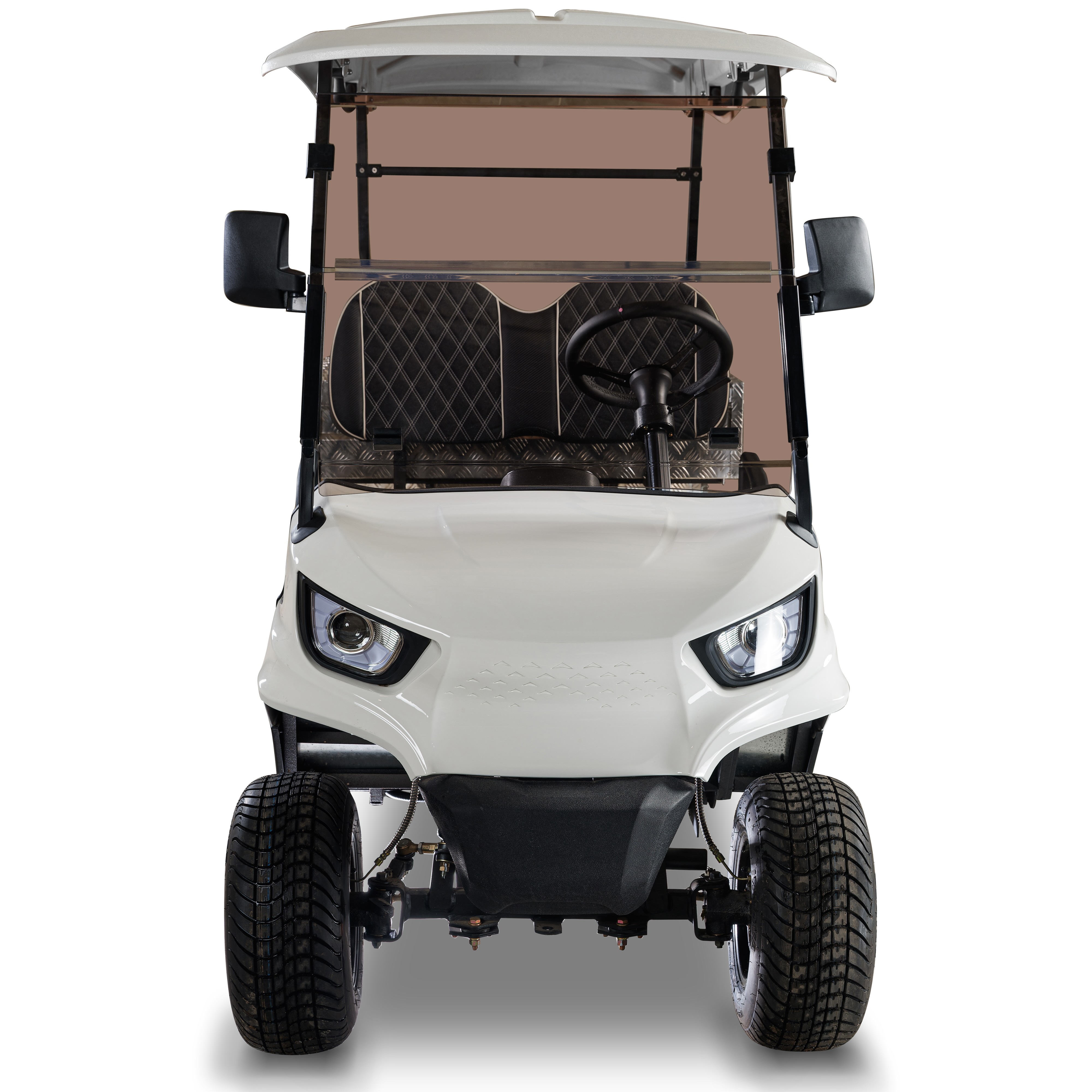 2 Seater Small Electric Golf Cart with Rear Cargo Bed at Good Price