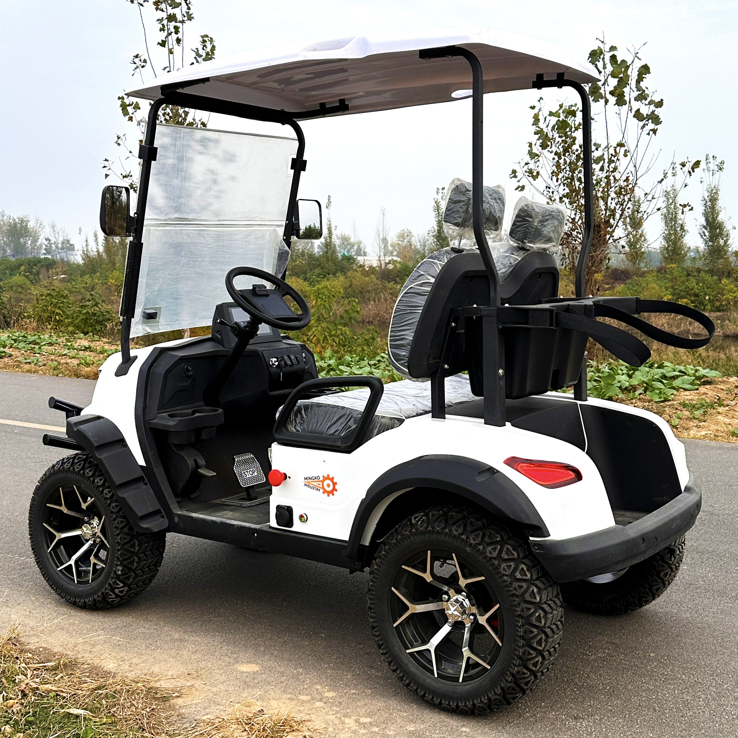 Two-seater Compact Electric Golf Cart CE/GCC Certified 50-70km/h Speed 90km Range 100kg Lightweight Factory Direct Sales