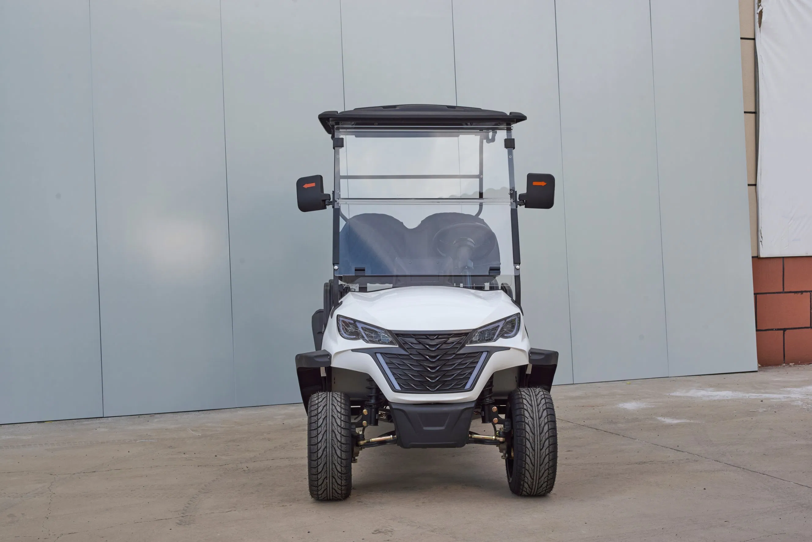High-Performance Golf Carts with 30-50km/H Speed for Export