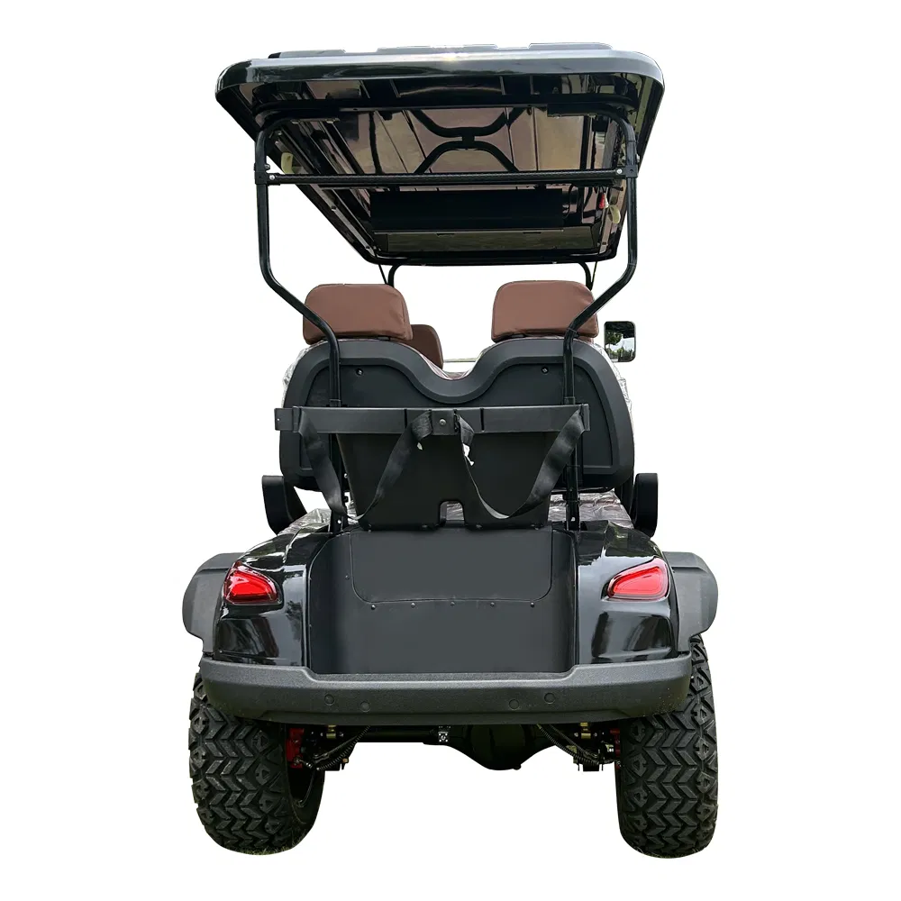 Hightop Golf Car Golf Club Golf Cargo Car AC Motor Utility Wheel 6 Seater Trolley Golf Course Electric Golf Buggies Cart Manufacturer
