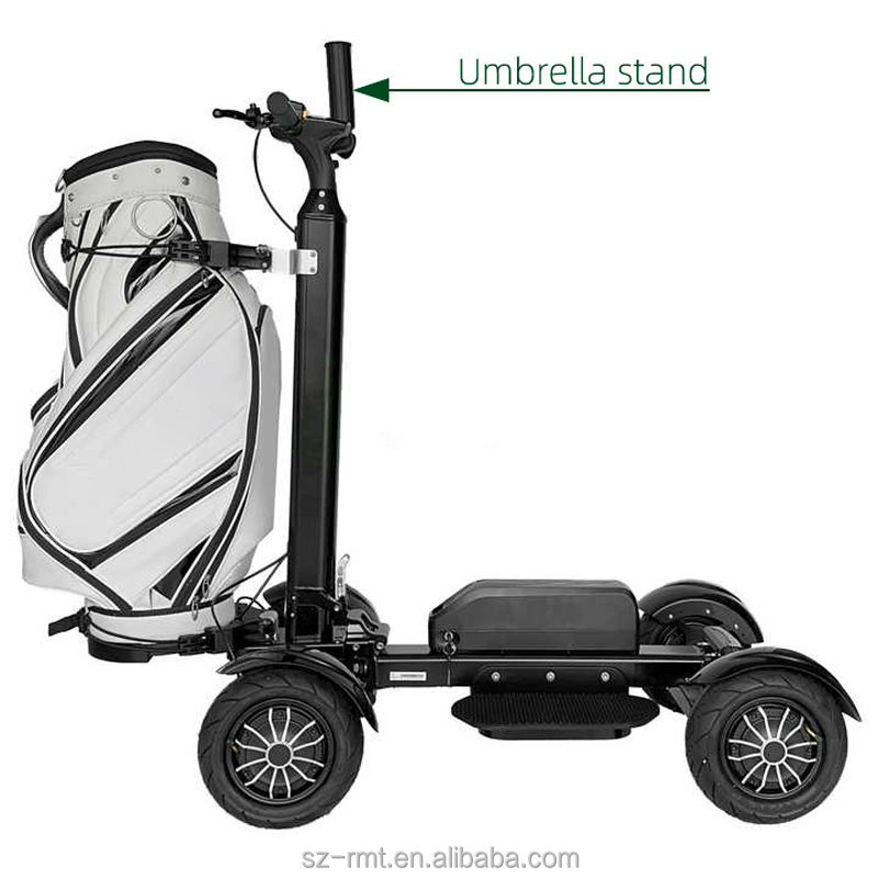 Golf Course Resort Street Legal LSV Electric Golf Cart Four Wheel Utility Fleet Aluminium 150kg Load Capacity 20km/h Max Speed