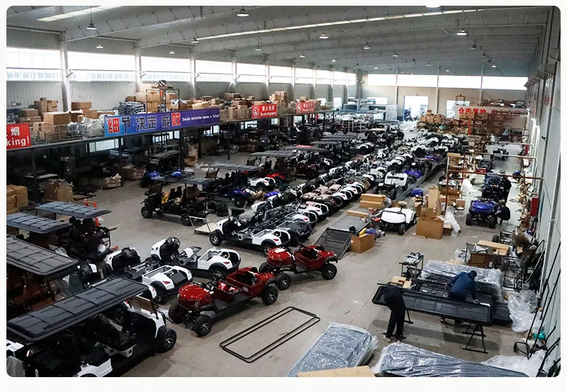 High-Performance Electric Carts with 7 5kw Motor and Custom Options
