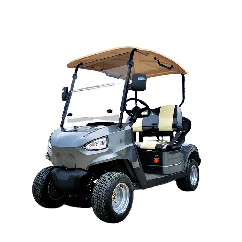 High Quality 2-Seater Electric Golf Cart on Sale Promotional Mini Golf Cart