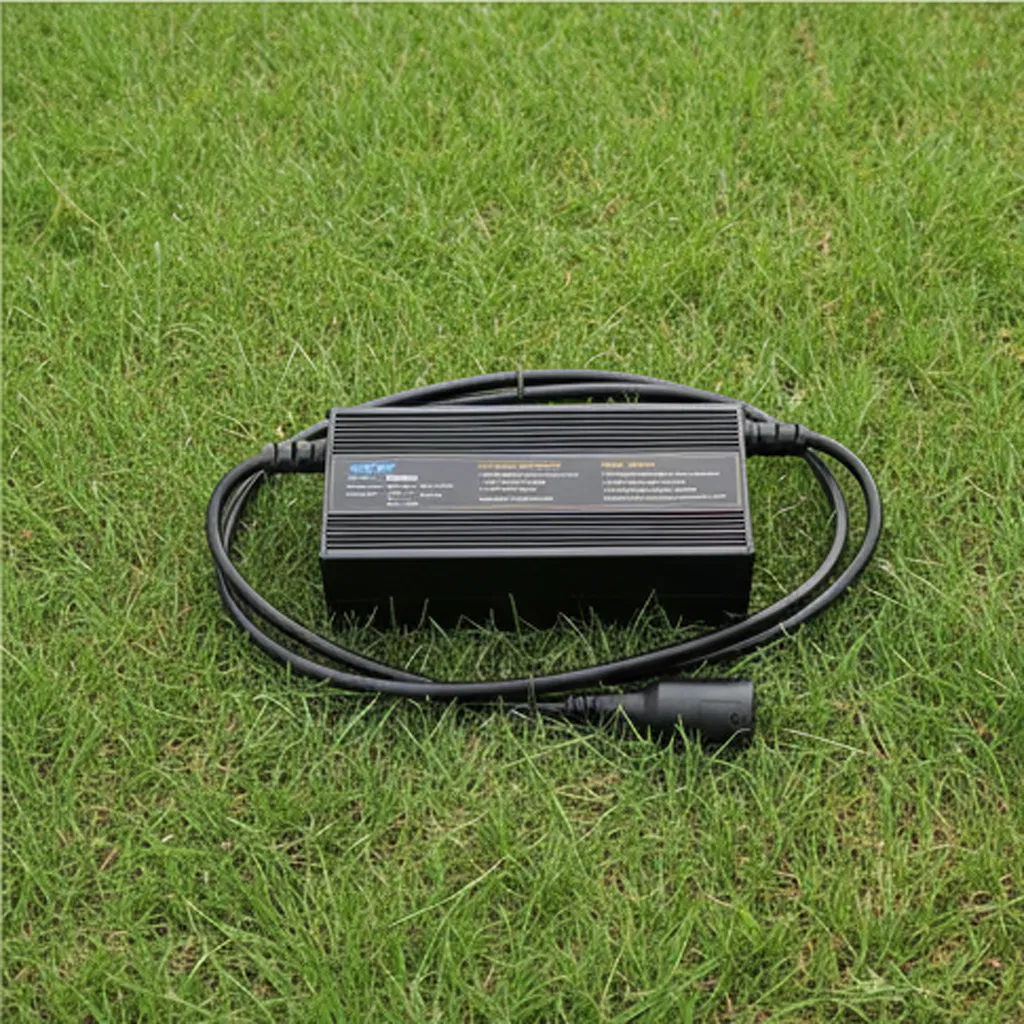 IP34 Rated Marine Battery Charger for All Weather Conditions