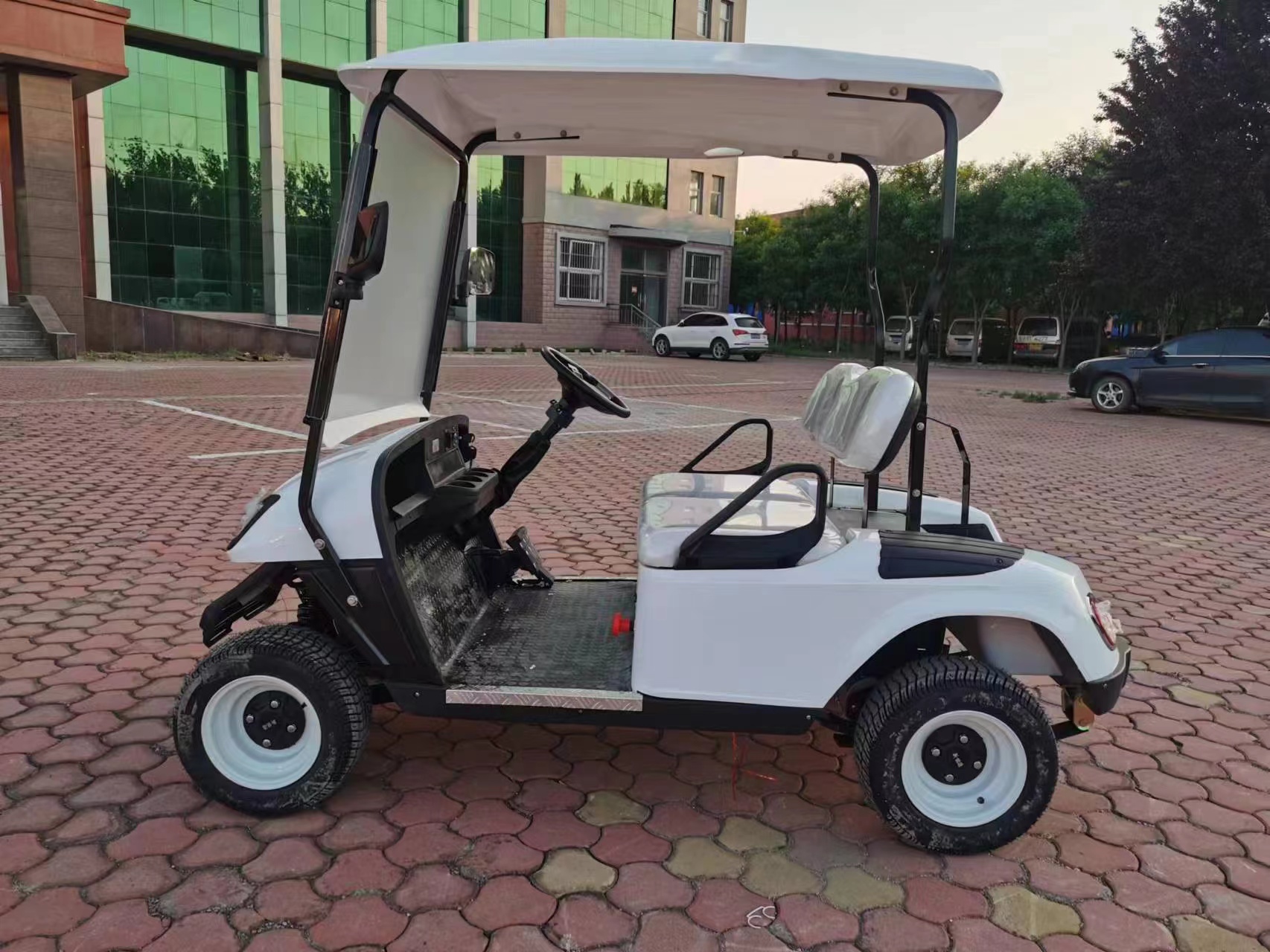 Sharefer Club Golf Cart Custom Electric Street Legal Golf Cart 2 Seater Off-road Electric Lifted Golf Cart