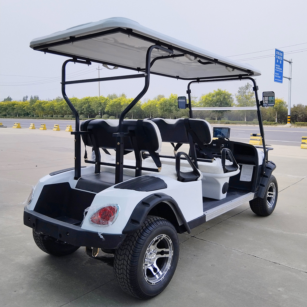 Golf Cart Gallery 4