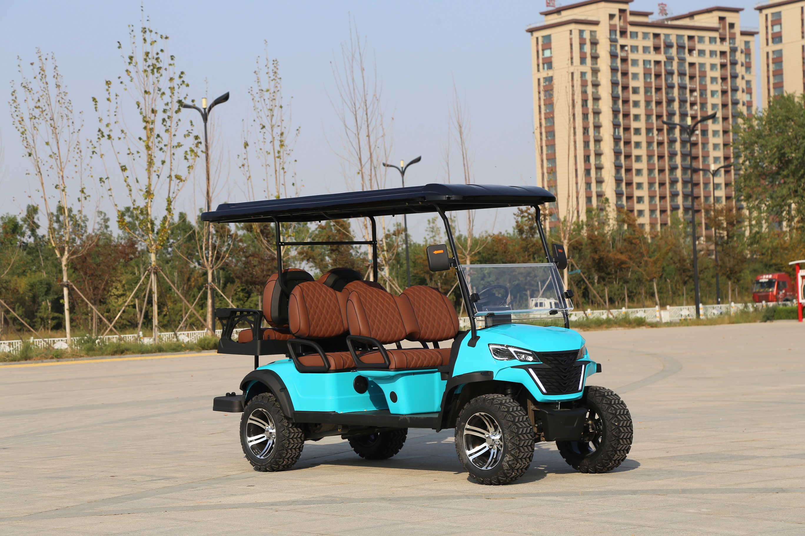 Golf Car Detail 4