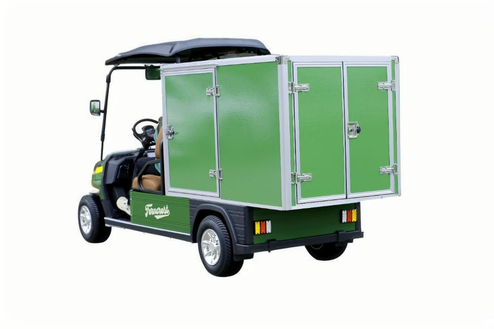 2 Person Rear Cargo Box Utility Electric Golf Carts