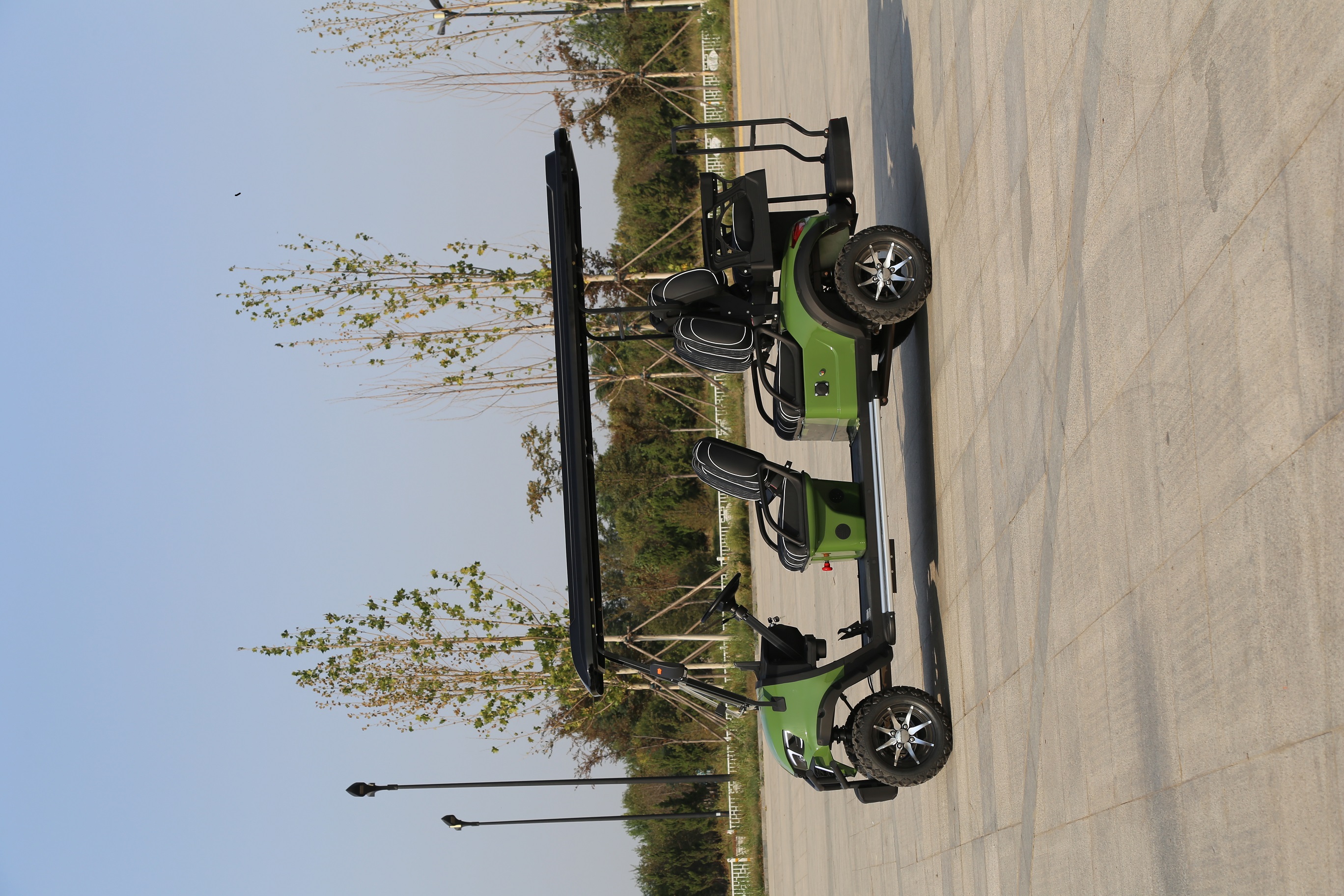 Golf Car Detail 8