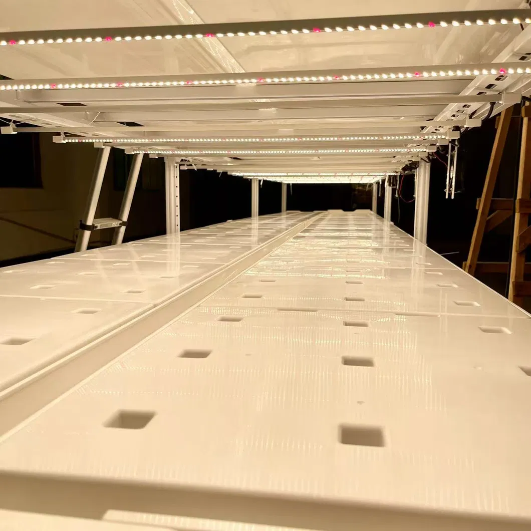 Hydroponic System Nft Technology - Modular Vertical Grow Racks & Full-Spectrum LEDs for Commercial Farms