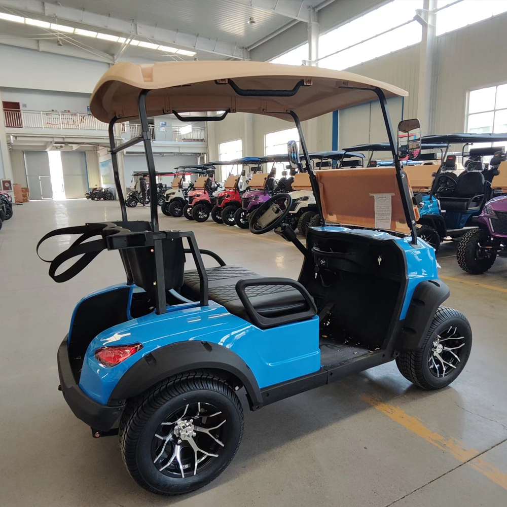 Mini Golf Carts for Adults 2 Seats 2 Passenger Street Legal Utility Vehicle Electric for Personal Use Golf Course Hunting Club